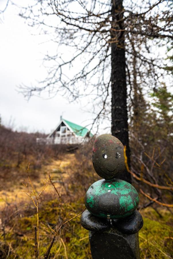 Bjoerk - A Cozy Hilltop Cottage - Great Location! Blaskogabyggd Exterior photo